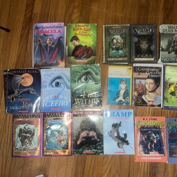 Other - 10 randomly selected book bundle